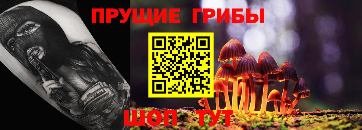Саров  Галлюциногенные грибы MAGIC MUSHROOMS  Вход с VPN 
